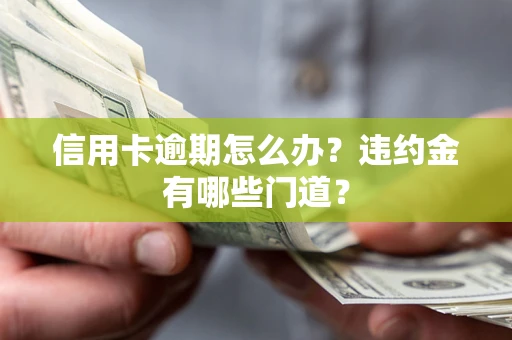 武汉信用卡逾期怎么办?违约金有哪些门道? 武汉信用卡逾期怎么办?违约金有哪些门道?
