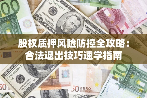 武汉股权质押风险防控全攻略:合法退出技巧速学指南 武汉股权质押风险防控全攻略:合法退出技巧速学指南