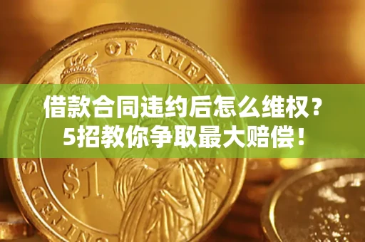 武汉借款合同违约后怎么维权?5招教你争取最大赔偿! 武汉借款合同违约后怎么维权?5招教你争取最大赔偿!